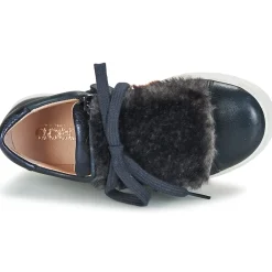 Acebo's - ALBA