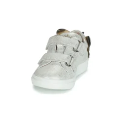 Acebo's - BAMBU