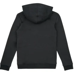Adidas Sportswear - BL 2 HOODIE