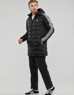 Adidas Sportswear - ESS 3S L D H PA