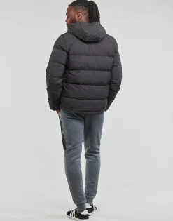Adidas Sportswear - HELIONIC HO JKT