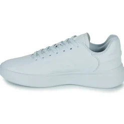 Adidas Sportswear - ZNTASY