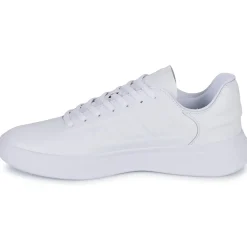 Adidas Sportswear - ZNTASY