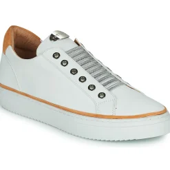 Adige - QUANTON4 V8