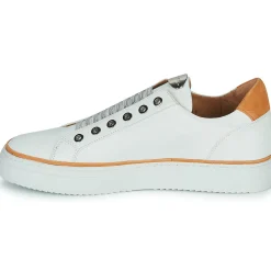 Adige - QUANTON4 V8