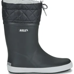 Aigle - GIBOULEE