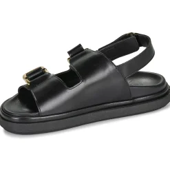 ALOHAS - HARPER