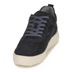 Blackstone - AG116