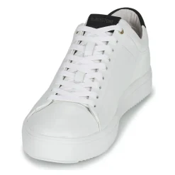 Blackstone - RM50
