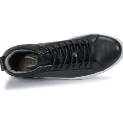 Blackstone - SG29
