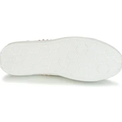 Bullboxer - AGM008