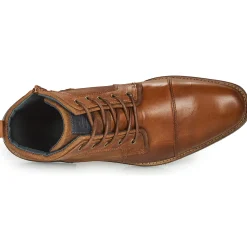 Bullboxer - BENN