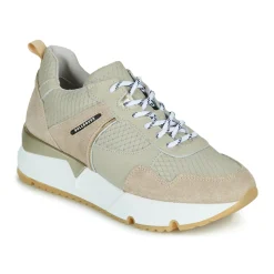 Bullboxer - 323015E5C