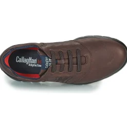 CallagHan - PLUVIAM