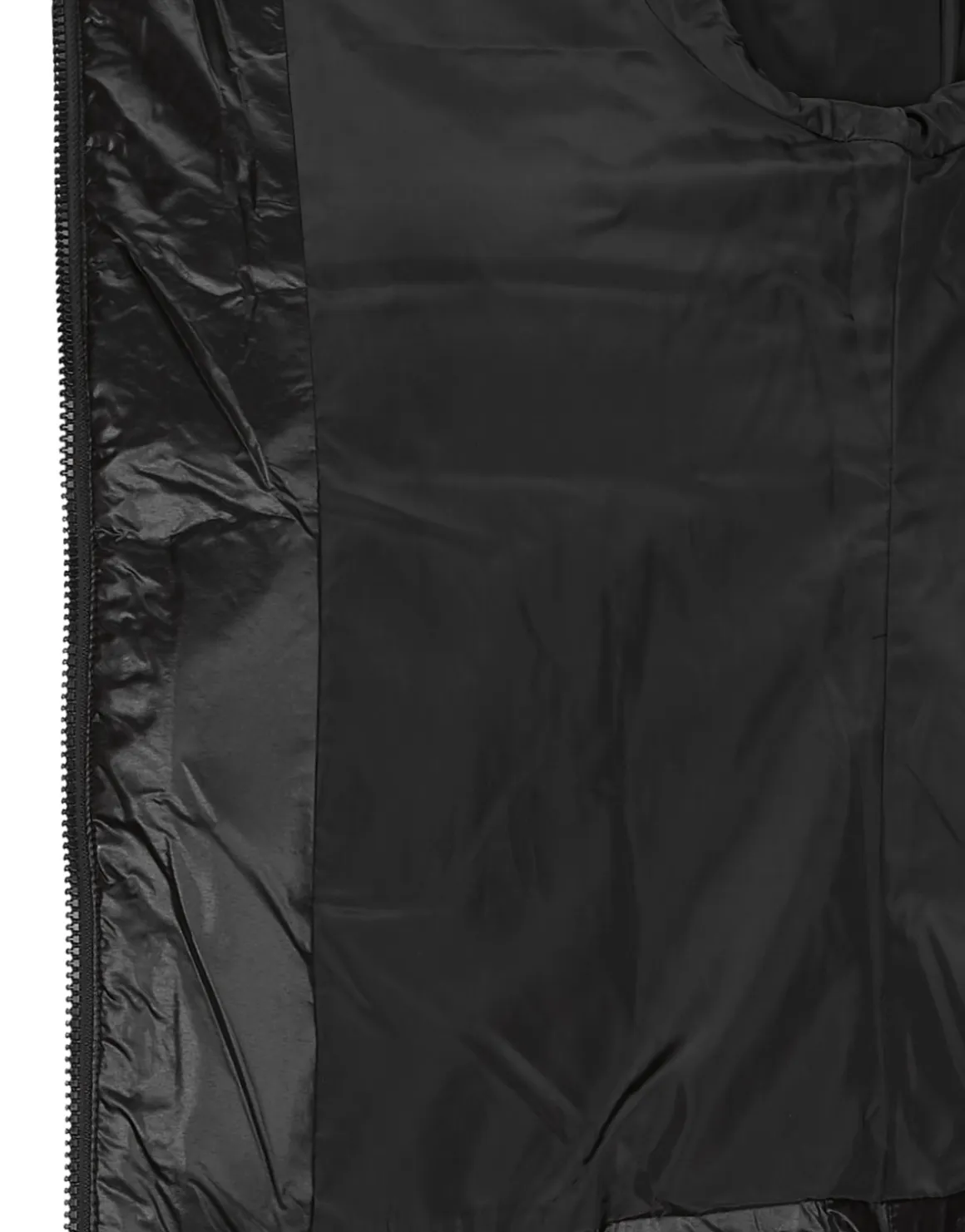 Calvin Klein Jeans - LW PADDED FITTED JACKET