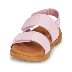 Camper - BRTS