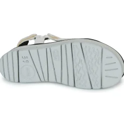 Camper - ORUGA UP