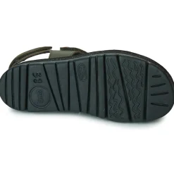 Camper - ORUGA UP