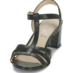 Caprice - 28308