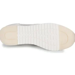Caprice - 24502