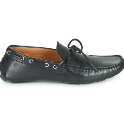 Carlington - JEAN