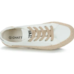 Chattawak - PACO