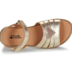 Citrouille et Compagnie - CŒUR