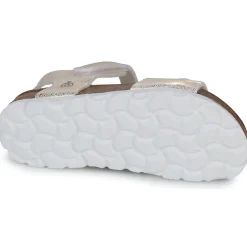 Citrouille et Compagnie - PISTAMI