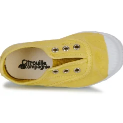 Citrouille et Compagnie - WOODEN