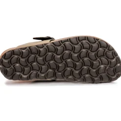 Citrouille et Compagnie - OKOKO