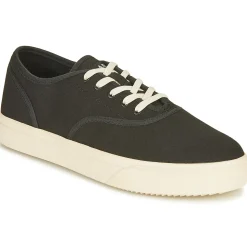 Clae - AUGUST
