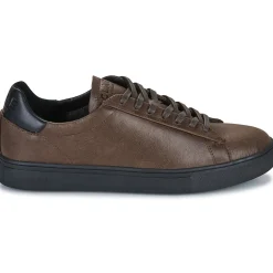 Clae - BRADLEY