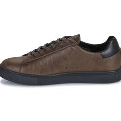 Clae - BRADLEY