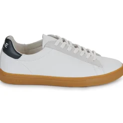 Clae - BRADLEY