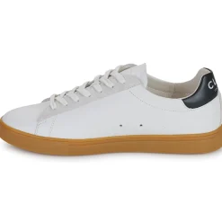 Clae - BRADLEY