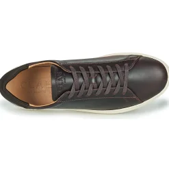 Clae - BRADLEY