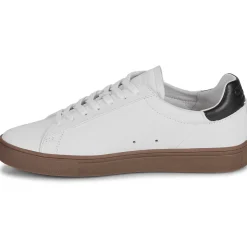 Clae - BRADLEY