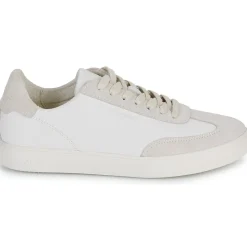 Clae - DEANE