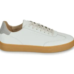 Clae - DEANE