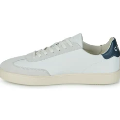 Clae - DEANE
