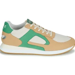 Clae - EDSON