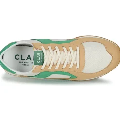 Clae - EDSON