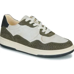 Clae - ELFORD