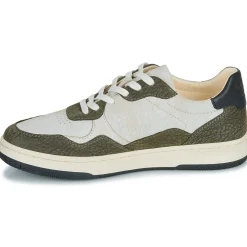 Clae - ELFORD