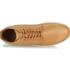 Clae - GIBSON