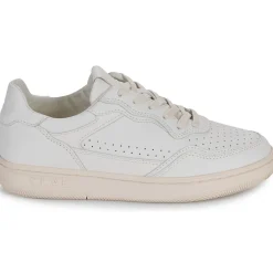 Clae - HAYWOOD