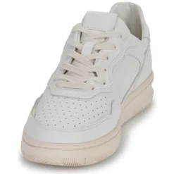 Clae - HAYWOOD