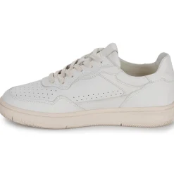 Clae - HAYWOOD