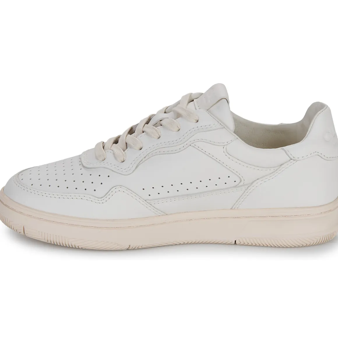 Clae - HAYWOOD