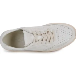 Clae - HAYWOOD